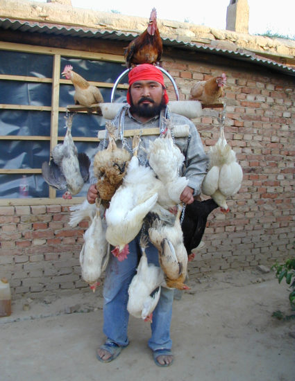 Un homme porte des poulets accrochés tout autour de lui. Certains sont vivants, sur ses épaules et sur sa tête, d'autres pendent morts.